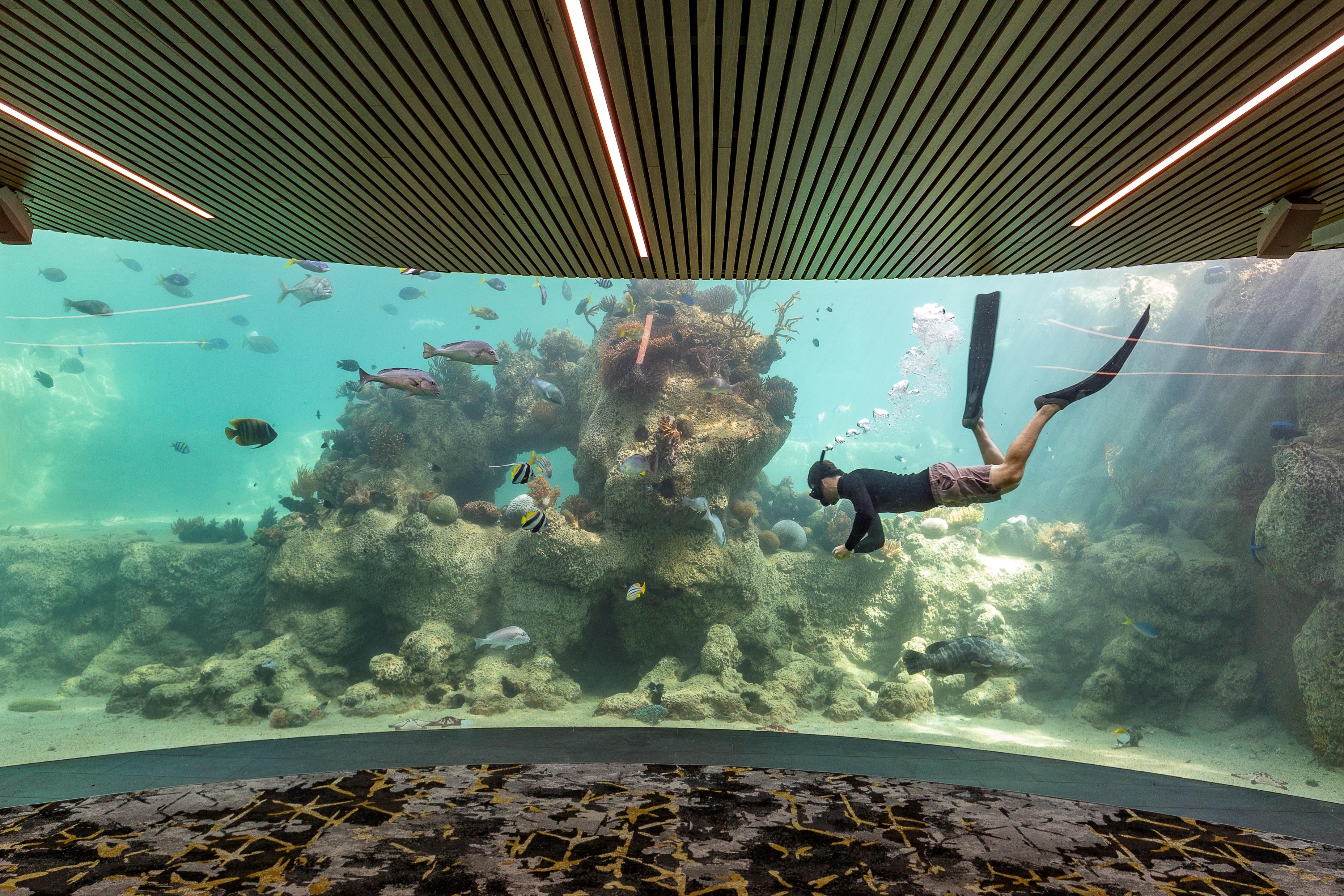 Daydream Island Resort Exterior photo
